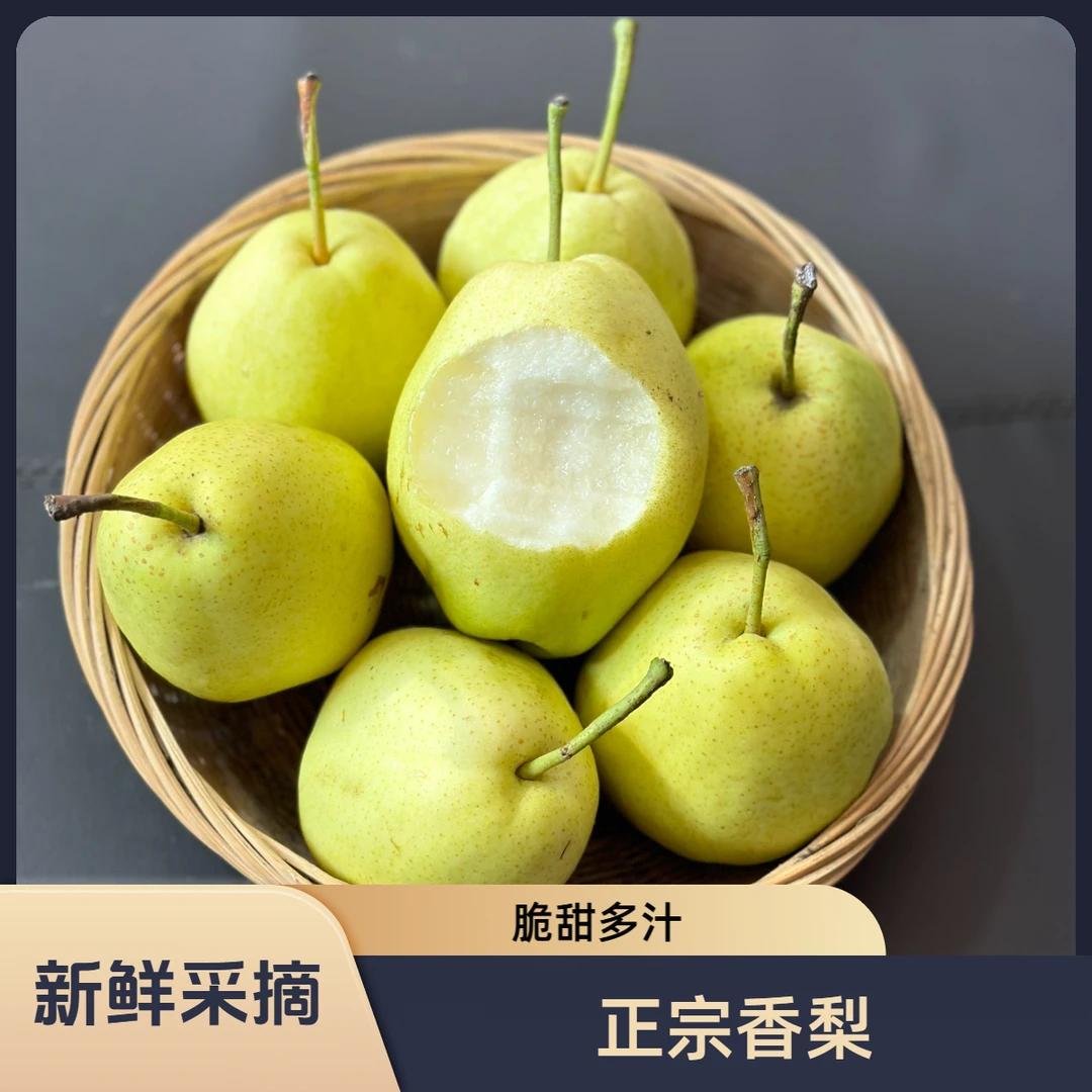 【买5斤送4斤】山西运城正宗羊奶香梨脆甜多汁-细腻无渣-纯甜连皮吃