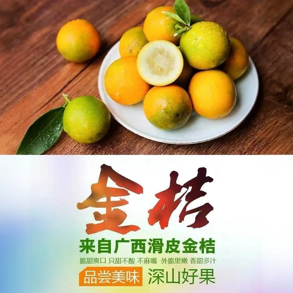 正宗融安第二代滑皮金桔助农精选富含维生素C自吃送礼都适宜