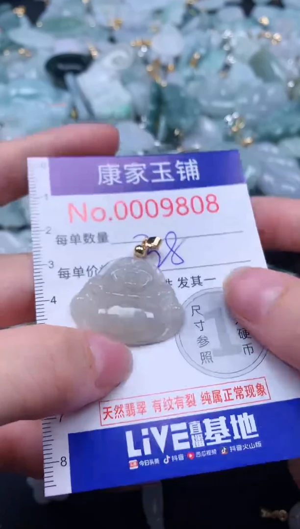 颈饰未镶嵌翡翠9808