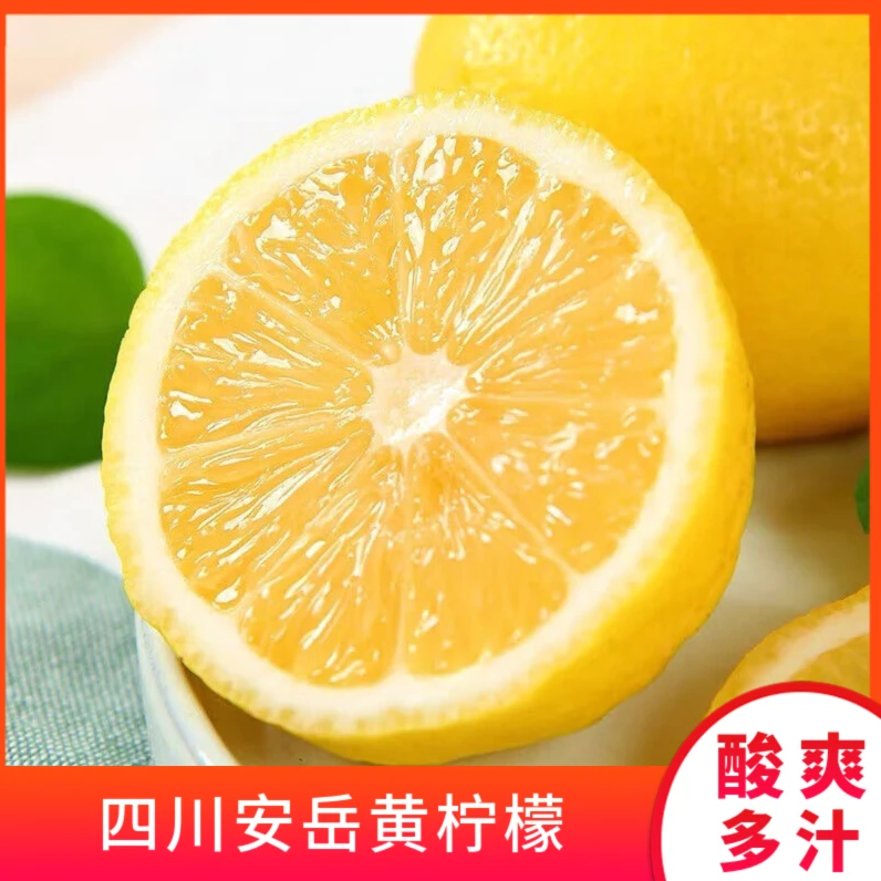 四川安岳黄柠檬酸爽多汁新鲜水果果园采摘切片产地奶茶店冲泡酸甜