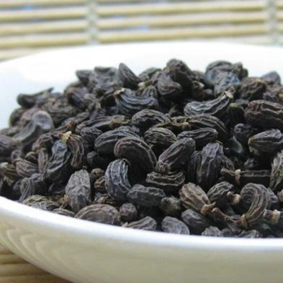 【孙闻福利籹】贞子果实 200g 天然可食用泡水材料