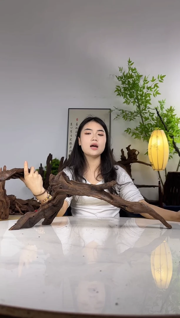 李*师拍这个定向编号15