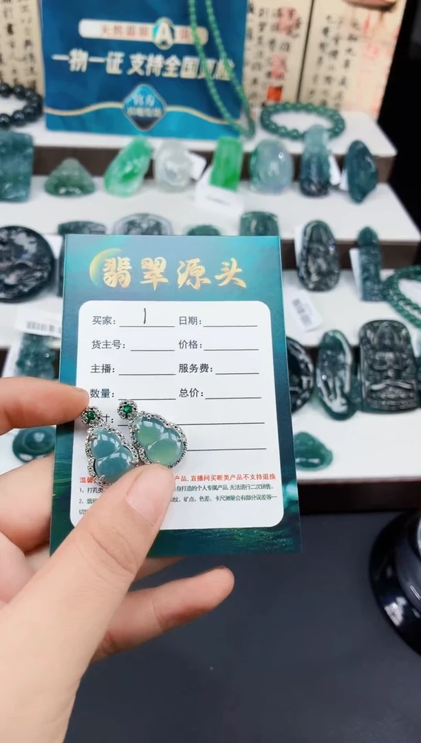 翡翠未镶嵌颈饰DLZ25072501多样性发其一