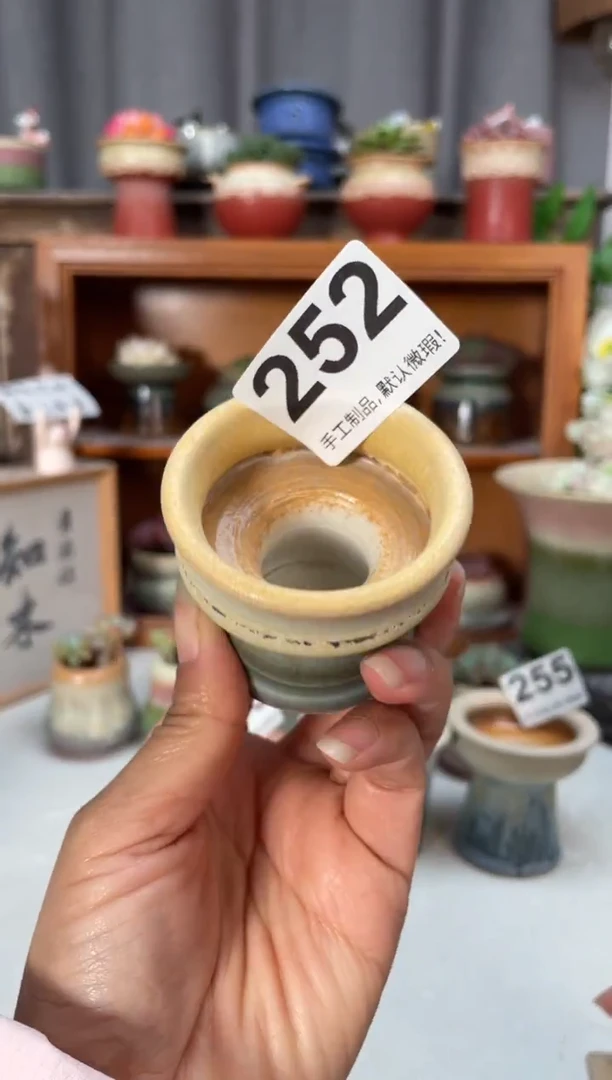 瓷片252福利知木小芳花盆