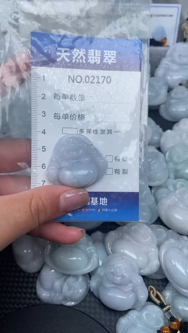 颈饰未镶嵌翡翠纯天然A货翡翠2170