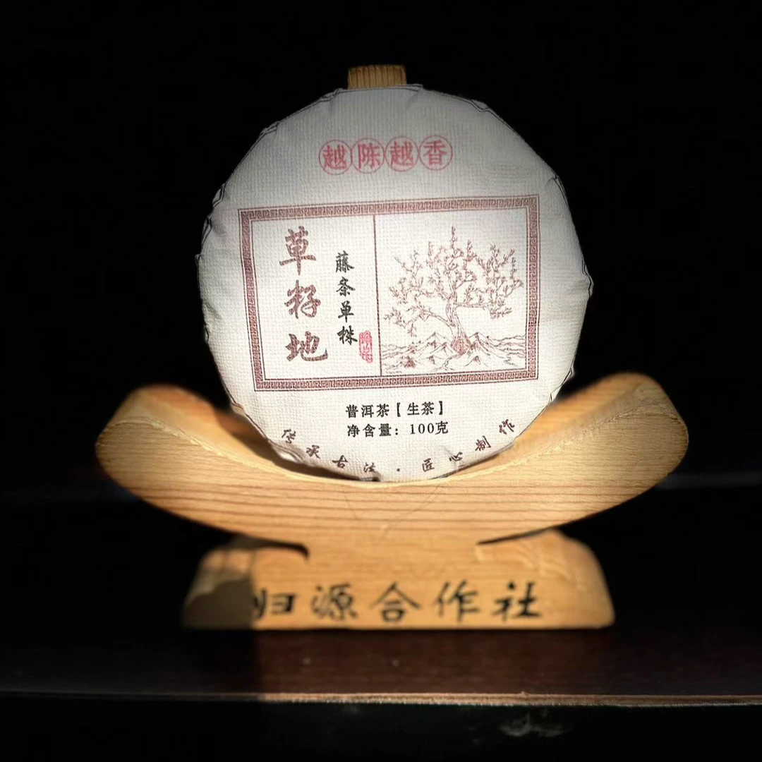 《100》600号 李坤 2023年邦东草籽地藤条单株100克饼茶 生茶 #3.8#