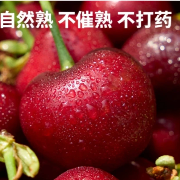 FH基地现摘山东美早大樱桃车厘子顺丰包邮