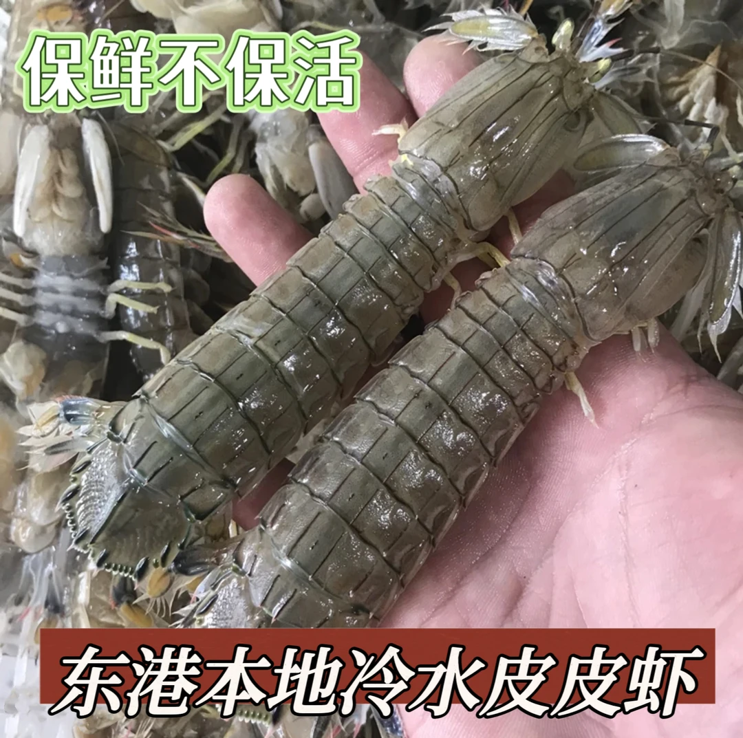 大号皮皮虾  2/3斤装  东港鹿岛小船青背皮皮虾 不保活