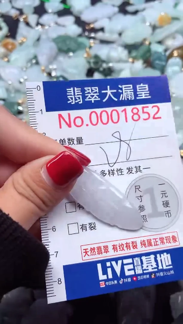 颈饰未镶嵌翡翠1852