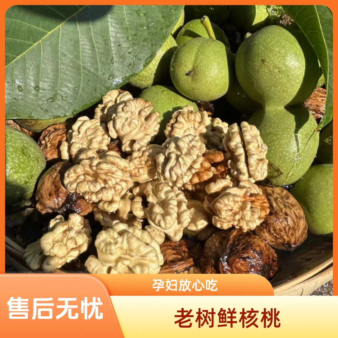 【2025鲜核桃】四川大凉山老树鲜核桃湿核桃孕妇小孩水果坏果包赔