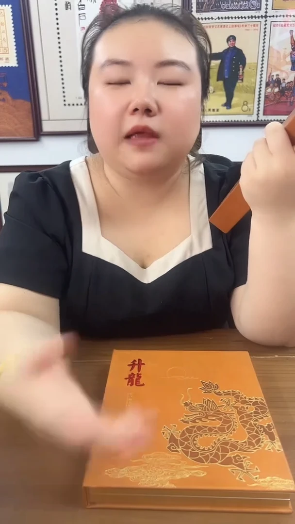 升龙  专题邮册
