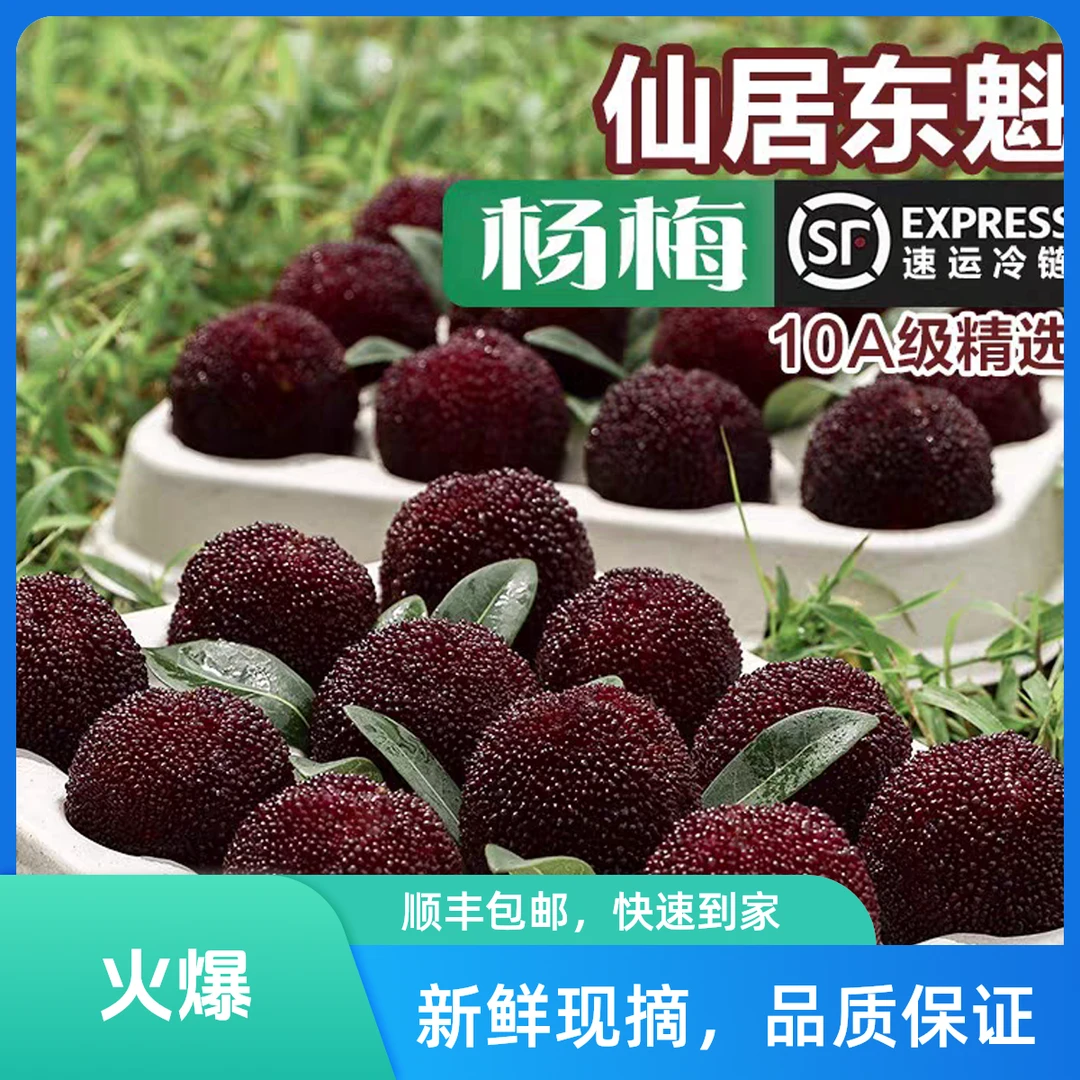 【正宗仙居东魁杨梅】现采现摘现发 新鲜果大多汁 当季水果 8甜1酸1果香 顺丰空运 小孩老人孕妈妈皆宜浙江省