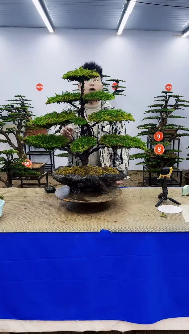 无花朵一物一拍，所见即所得