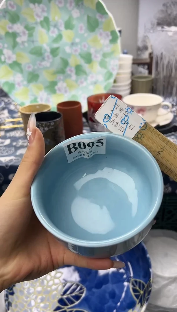 瓷片得***.   B095