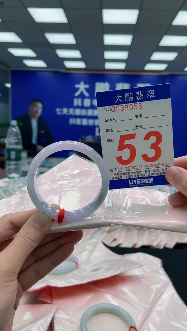 未镶嵌手镯翡翠AAAAAAAAA