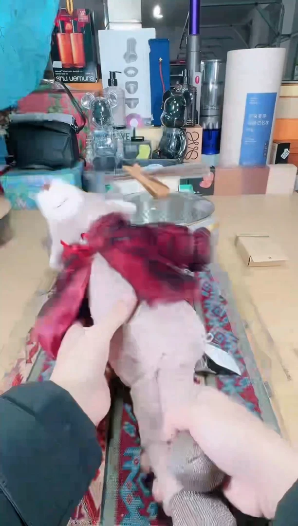 【闪购商品】瓷片111111111111111