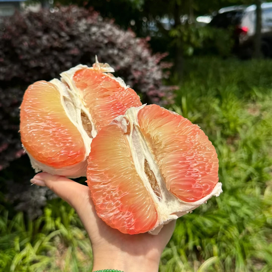 泰国翡翠金柚·脆嫩多汁 2-4粒装 干水包售后