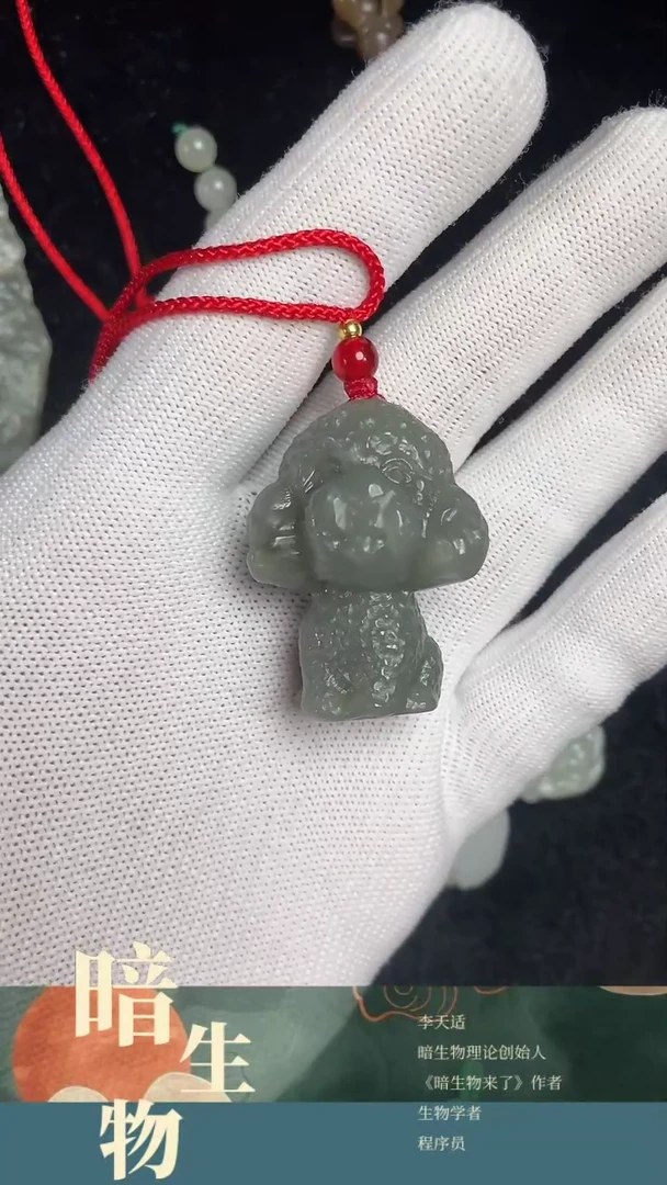 【闪购商品】和田玉吊坠(赠链)未镶嵌泰迪