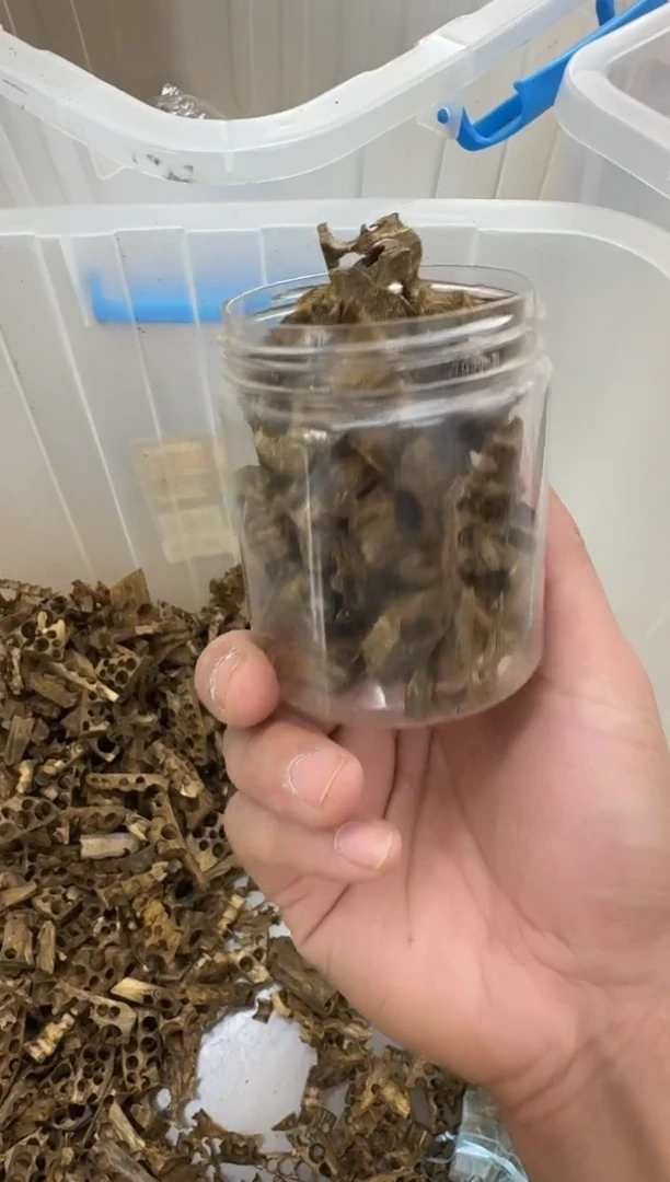 沉香碎屑沉香绿棋楠沉香碎料50克1