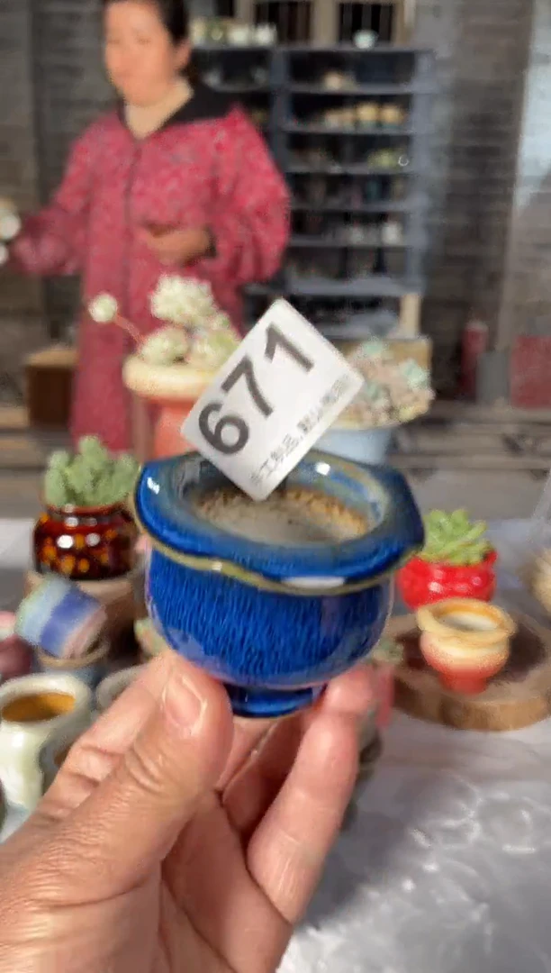 瓷片671小芳直播编号