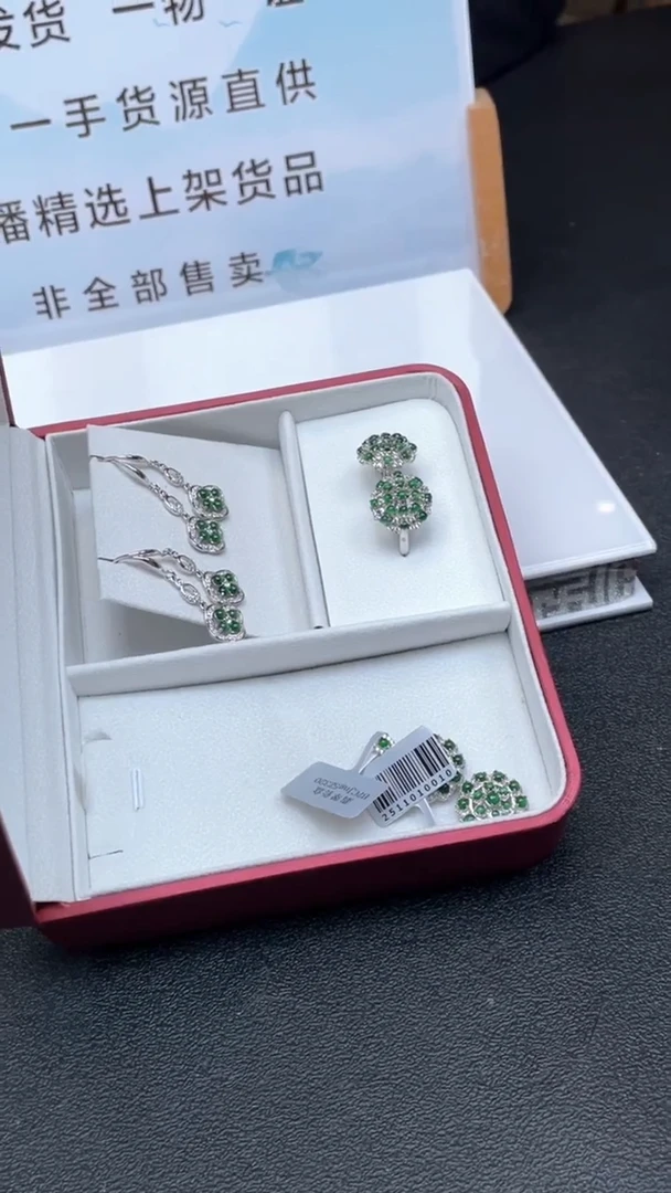 颈饰未镶嵌翡翠多样性发货（只发一件）x50