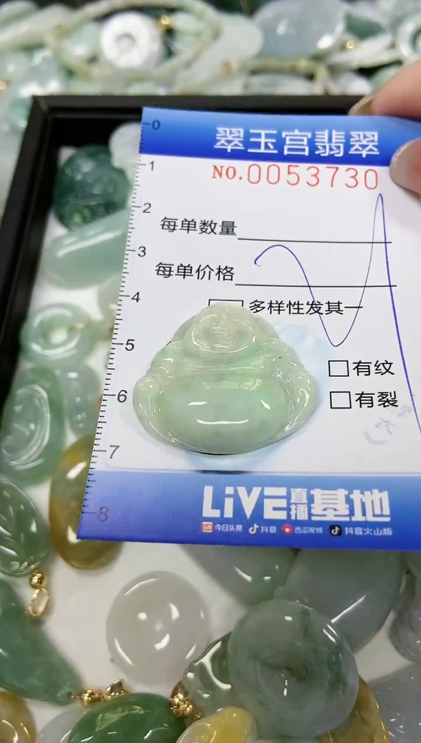 【闪购商品】翡翠颈饰未镶嵌闪购0053730