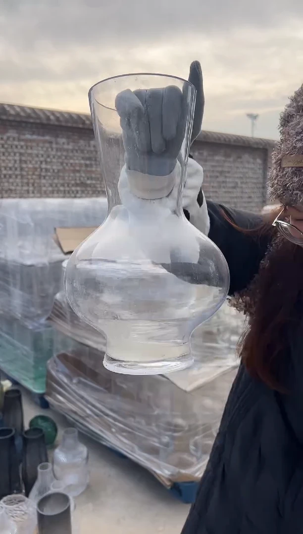 水养鲜花干花插花客厅装饰品