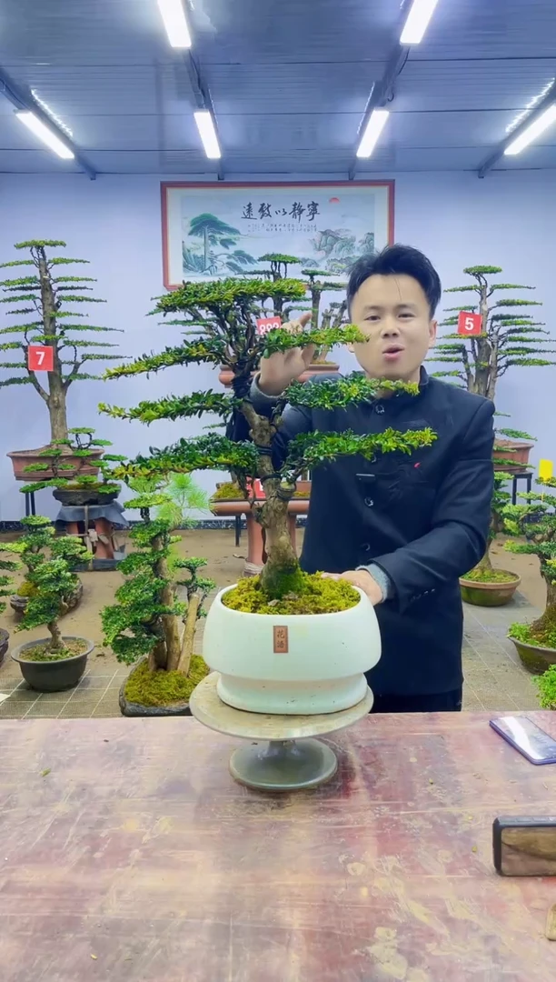 【闪购商品】一物一拍，所见即所得