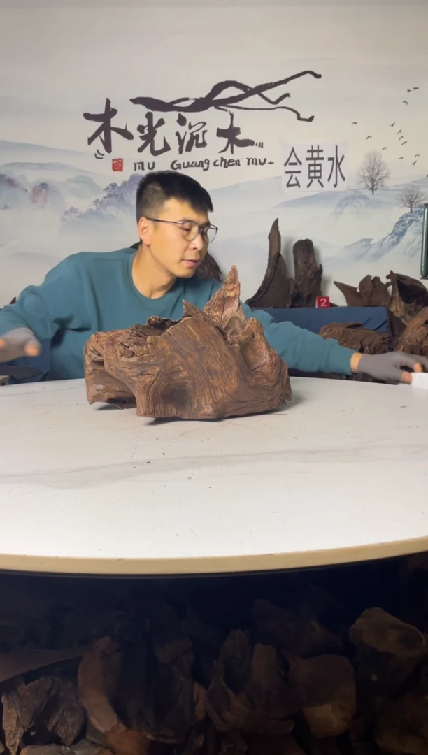 木光沉木木光沉木528