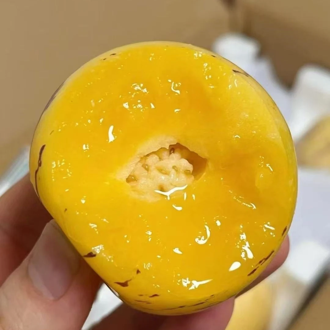 【池雨阳台果园计划】云南石林树熟人参果黄肉圆果清甜新鲜皮薄多汁