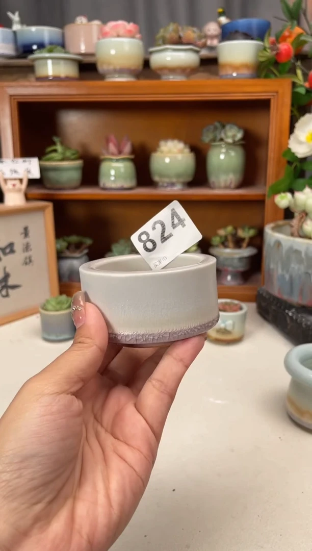 瓷片824知木小芳花盆