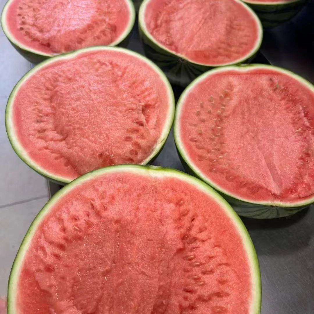 【脆甜多汁】海南无籽麒麟西瓜5斤脆甜新鲜西瓜同城配海南省