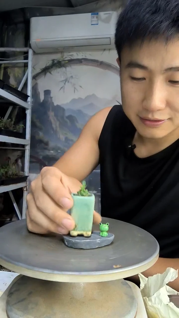 M*中青园艺一物一拍104