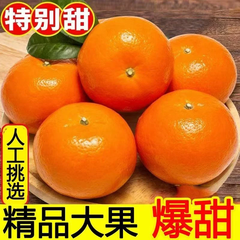 A【果园直发】现摘头茬沃柑云南哀牢山新鲜沃柑水果橘子整箱