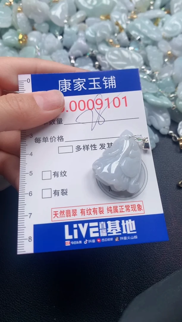 颈饰未镶嵌翡翠9101