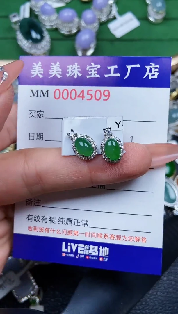 【闪购商品】翡翠颈饰银S925镶嵌4509