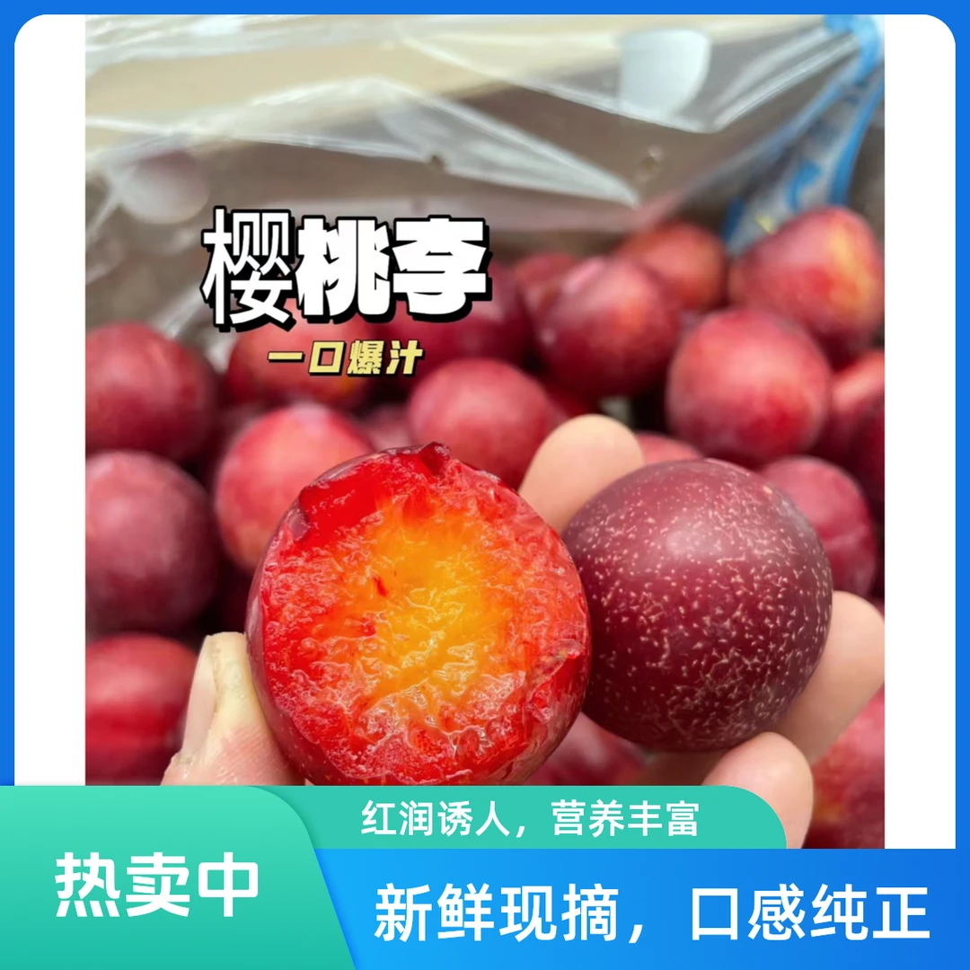 5J  300克左右樱桃李，肉质松脆爽口，一口就爆汁！