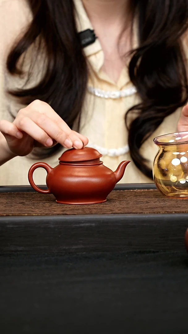 茶壶紫砂小登壶 一物见春
