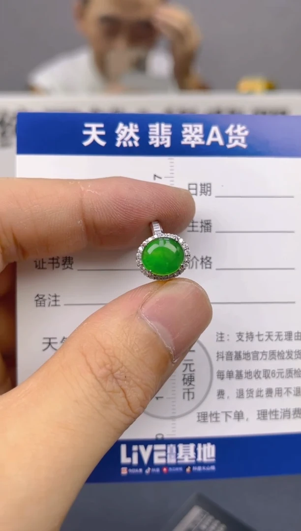 翡翠银S925镶嵌颈饰天然A货翡翠