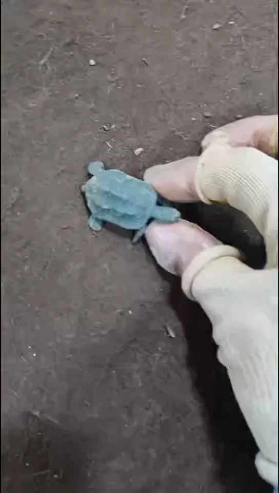 未镶嵌和田玉挂件一单一个