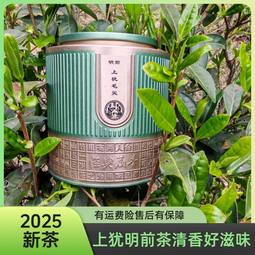 【明前茶】2025第一口春茶新茶叶上犹毛尖绿茶正宗高山云雾茶圆罐M5