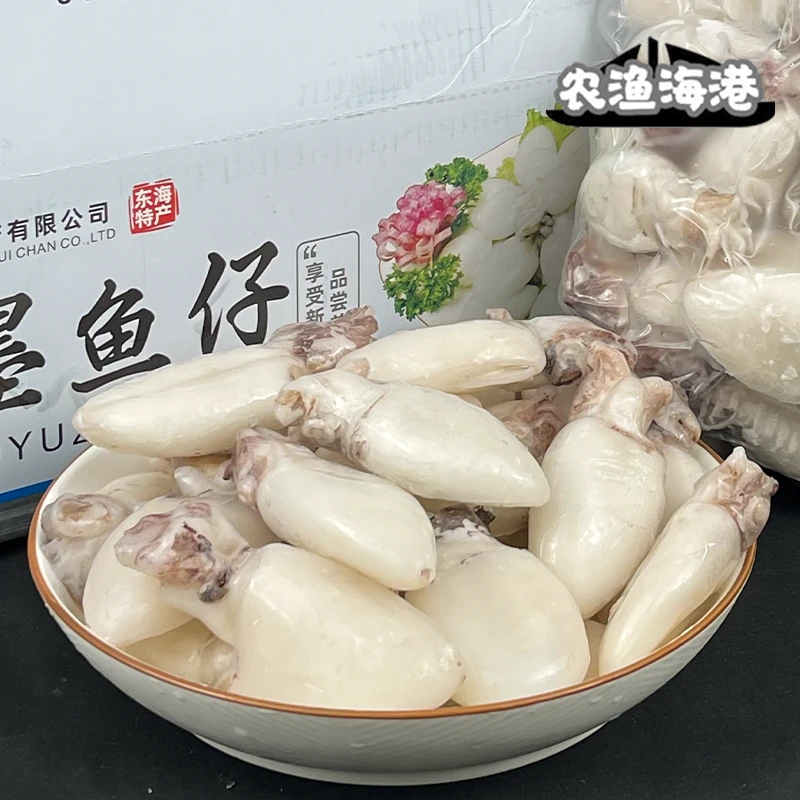 农渔海港墨鱼仔深海打捞