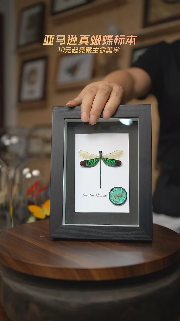 有机玻璃华艳色蟌火漆印章款七寸竖框