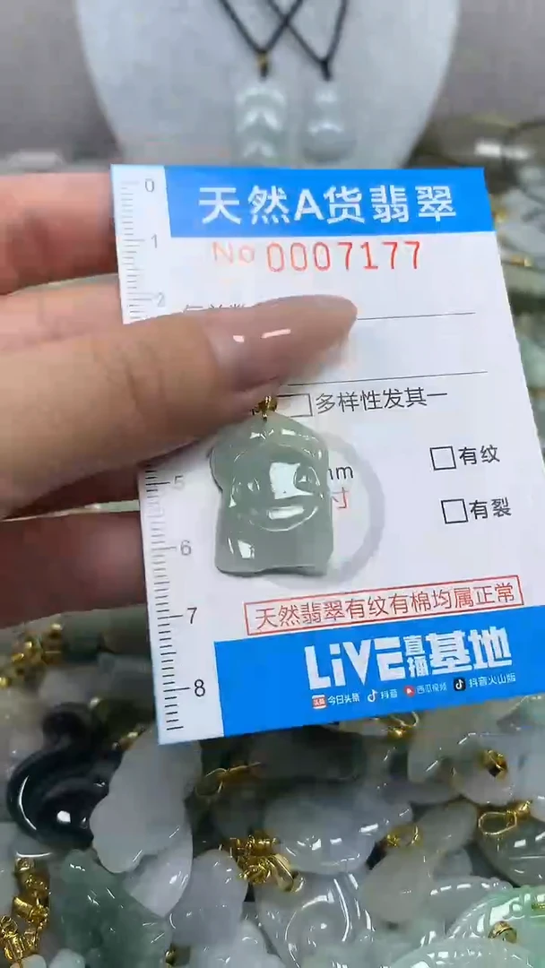 翡翠未镶嵌颈饰净货挂件-7177