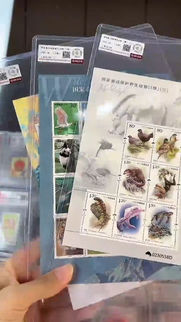 【闪购商品】野生动物小版一二三 三个小版