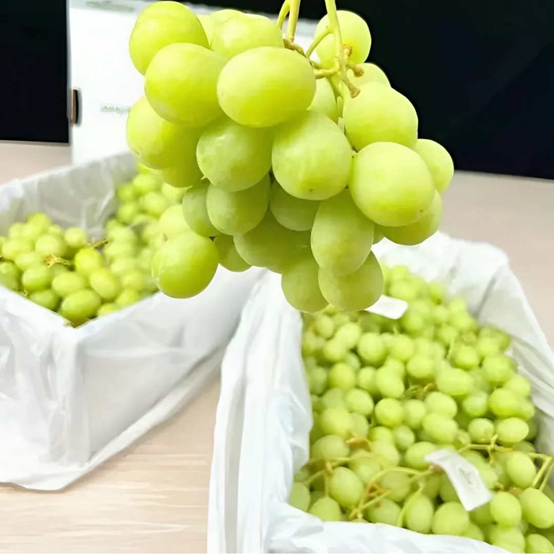 【澳洲甜地球】青提脆甜无籽提子进口甜地球葡萄新鲜水果包邮