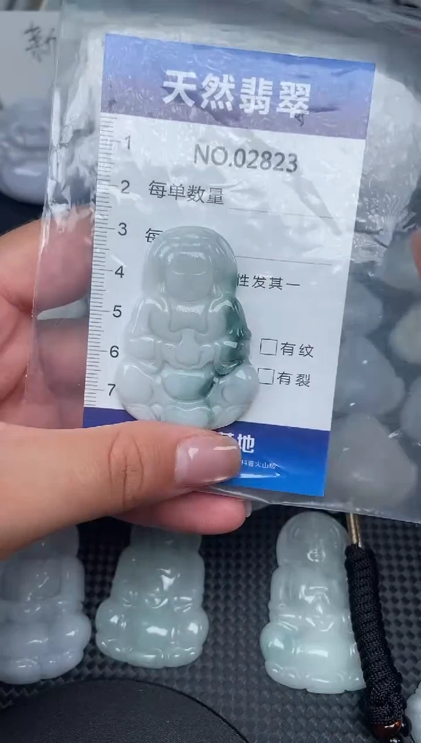 颈饰未镶嵌翡翠纯天然A货翡翠2823
