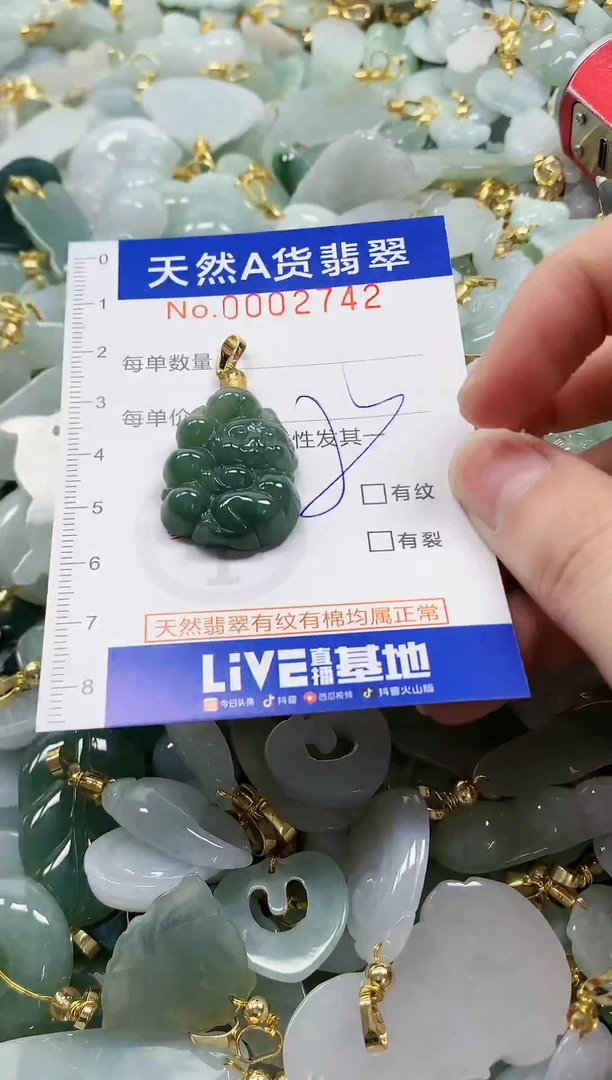 颈饰未镶嵌翡翠纯天然a货翡翠