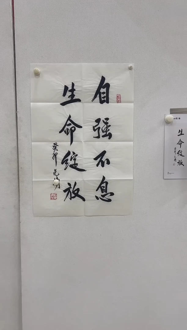 6-7-范老师2.7平尺书法作品装饰