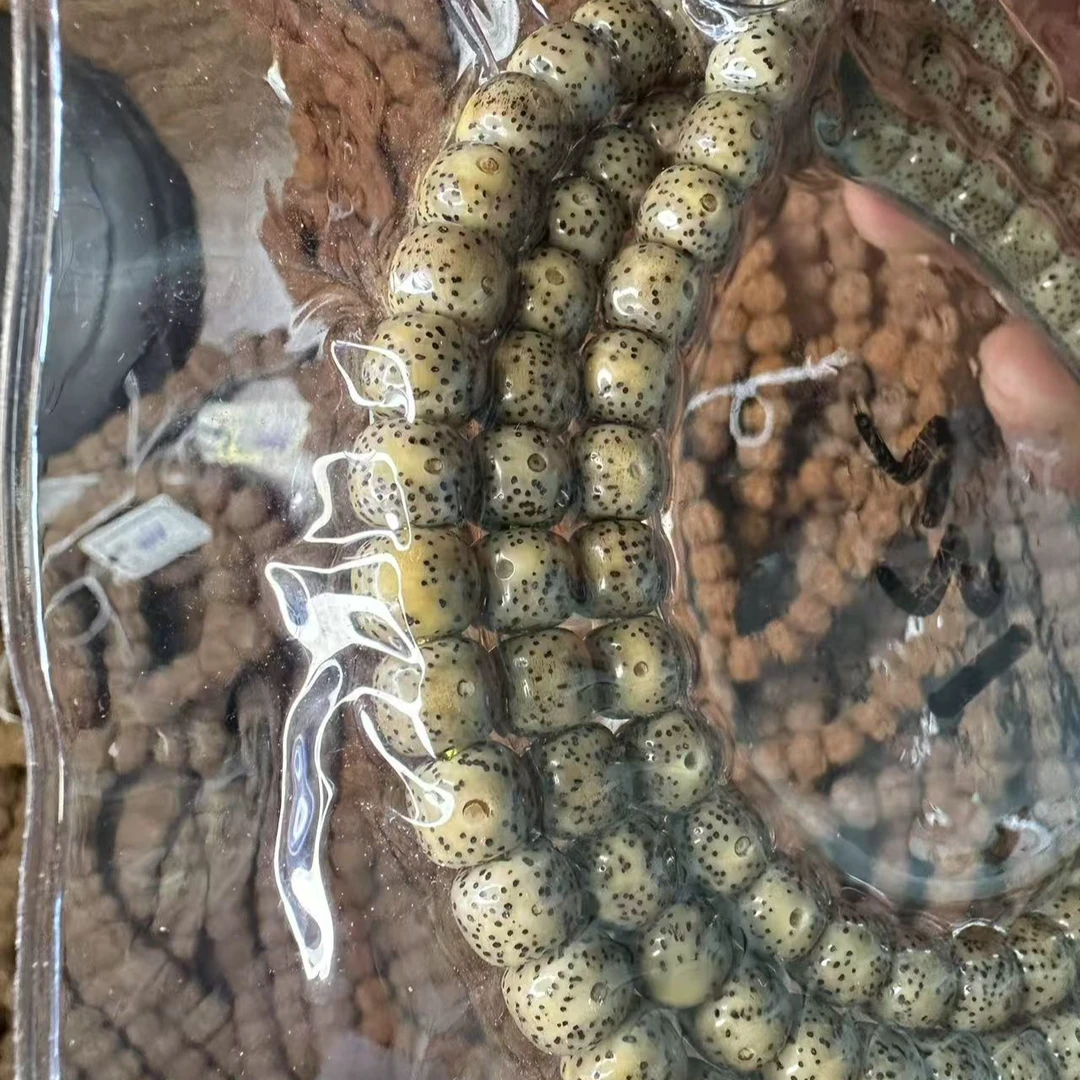 1231星月绿幽灵文玩手串